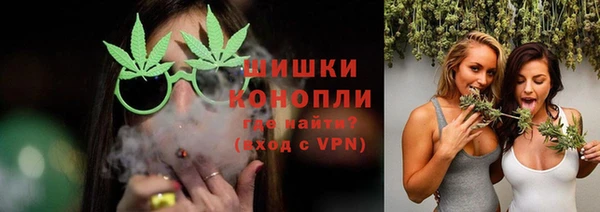ГАЛЛЮЦИНОГЕННЫЕ ГРИБЫ Корсаков