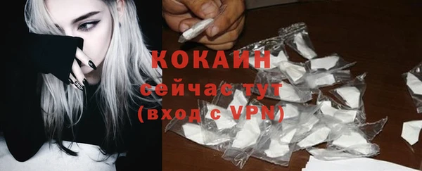 ГАЛЛЮЦИНОГЕННЫЕ ГРИБЫ Корсаков