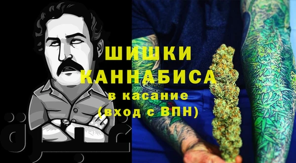 ГАЛЛЮЦИНОГЕННЫЕ ГРИБЫ Корсаков