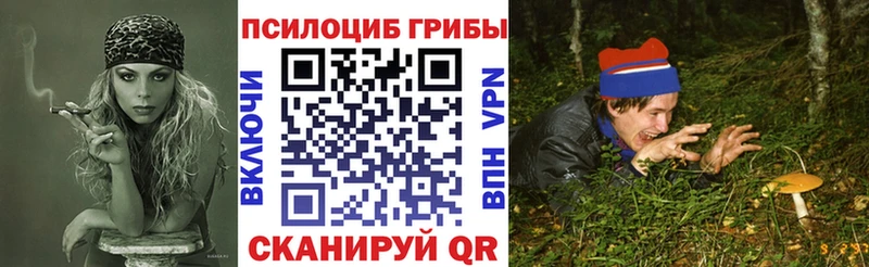 Купить закладки  Солнечногорск  Галлюциногенные грибы мухоморы 